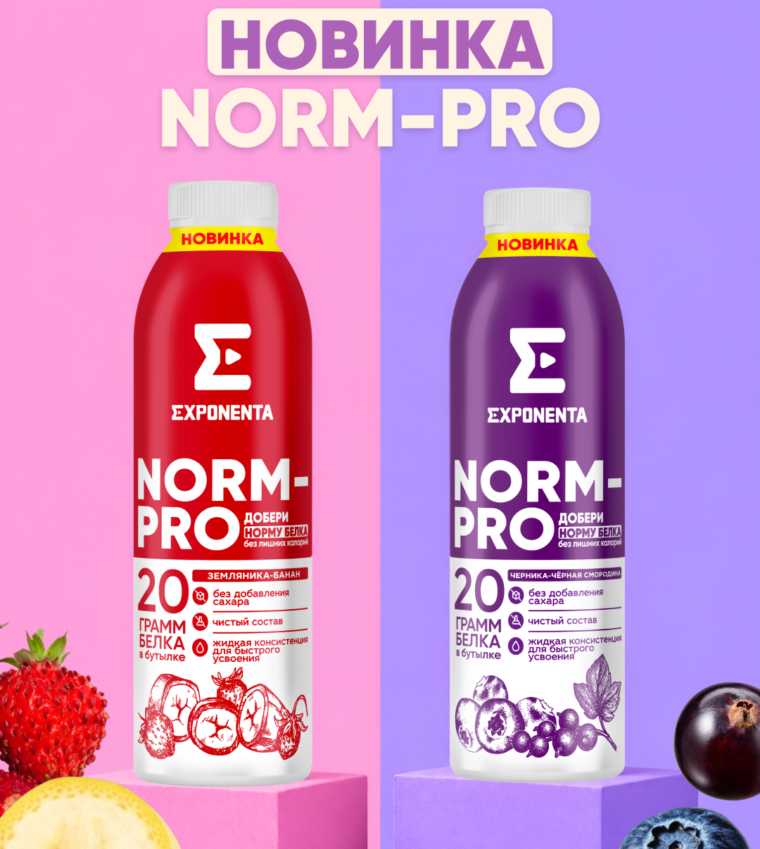 NORM PRO
