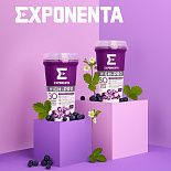 РАЗБИРАЕМ ЧИСТЫЙ СОСТАВ EXPONENTA